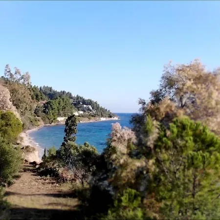 Ihouse مكان تخييم نيا سكيوني