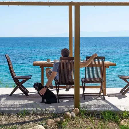 Ihouse * نيا سكيوني